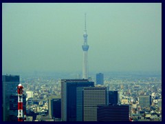 Tokyo Tower 55